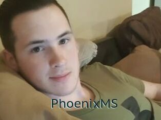PhoenixMS