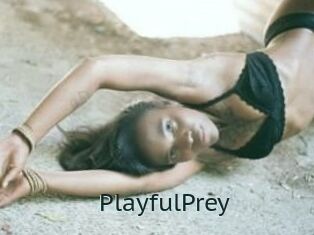 PlayfulPrey