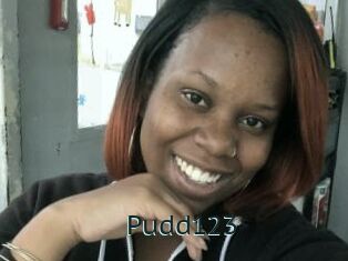 Pudd123