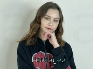 Portiagee