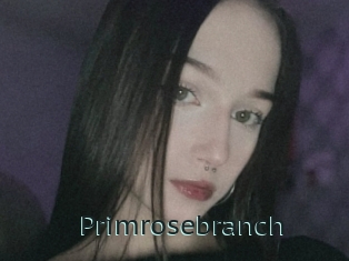 Primrosebranch