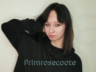 Primrosecoote
