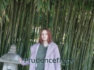 Prudencefigge