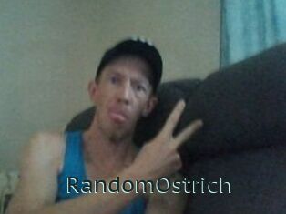 RandomOstrich