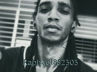 Raphael882303