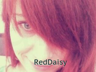 RedDaisy