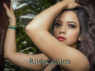RileyCollins