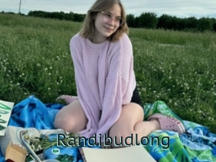 Randibudlong