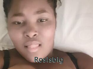 Rosisbig