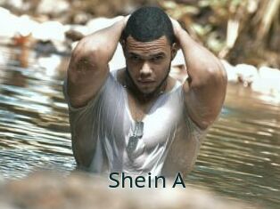 Shein_A