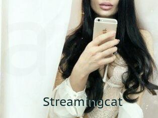 Streamingcat