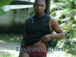 Sandrofernandes