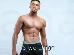 Silverdingo