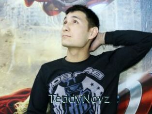 TeddyNoyz