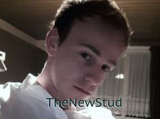 TheNewStud