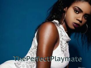 ThePerfectPlaymate