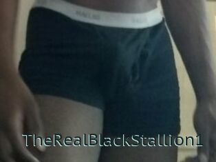 TheRealBlackStallion1