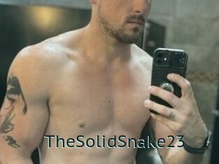 TheSolidSnake23