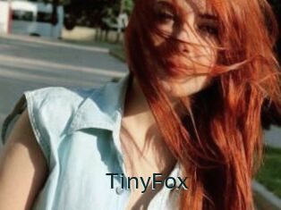 TinyFox