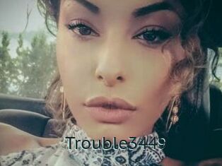 Trouble3449