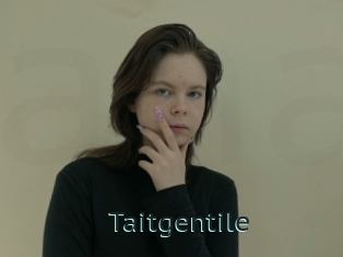 Taitgentile