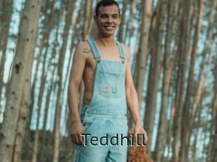 Teddhill