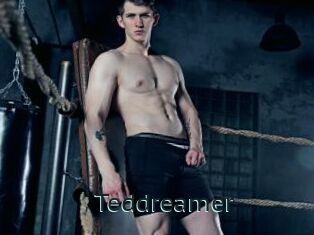Teddreamer