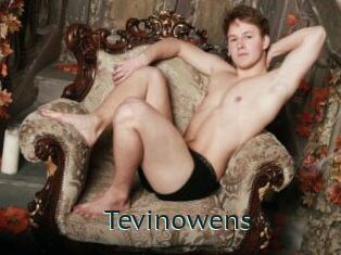 Tevinowens