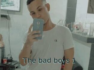 The_bad_boys_1