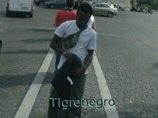 Tigrenegro