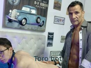 Toro_hot