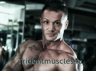 Tridentmuscles4u