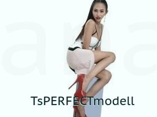 TsPERFECTmodell