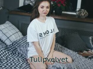 Tulipvelvet