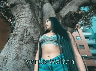 Venus_Walton