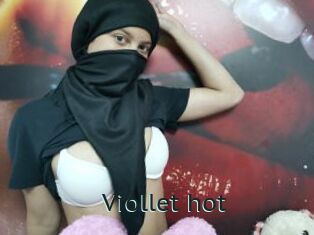 Viollet_hot