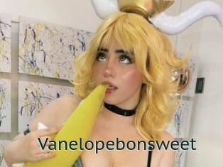 Vanelopebonsweet