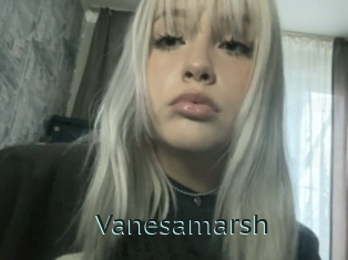 Vanesamarsh