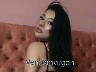 Venusmorgan
