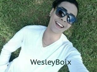 Wesley_Boix