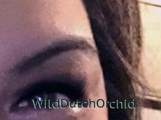 WildDutchOrchid