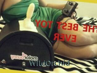 WildOrchid_