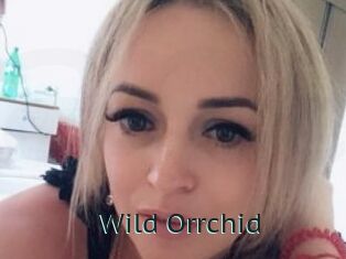 Wild_Orrchid