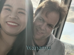 Wanamu