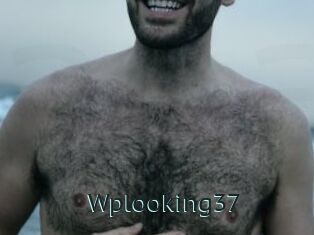 Wplooking37