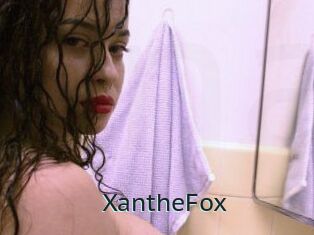 Xanthe_Fox