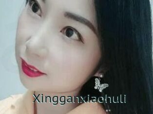 Xingganxiaohuli