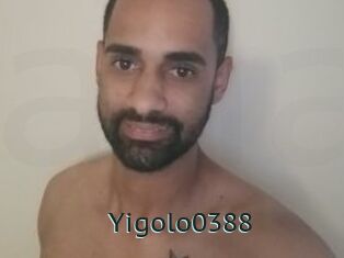 Yigolo0388