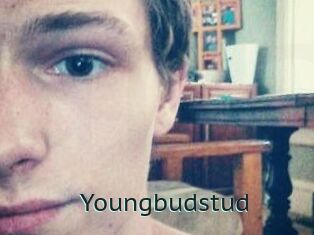 Youngbudstud