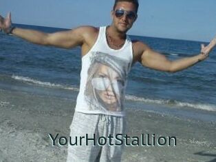 YourHotStallion